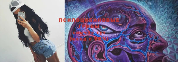 apvp Рославль