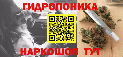 PSILOCYBIN Балаково