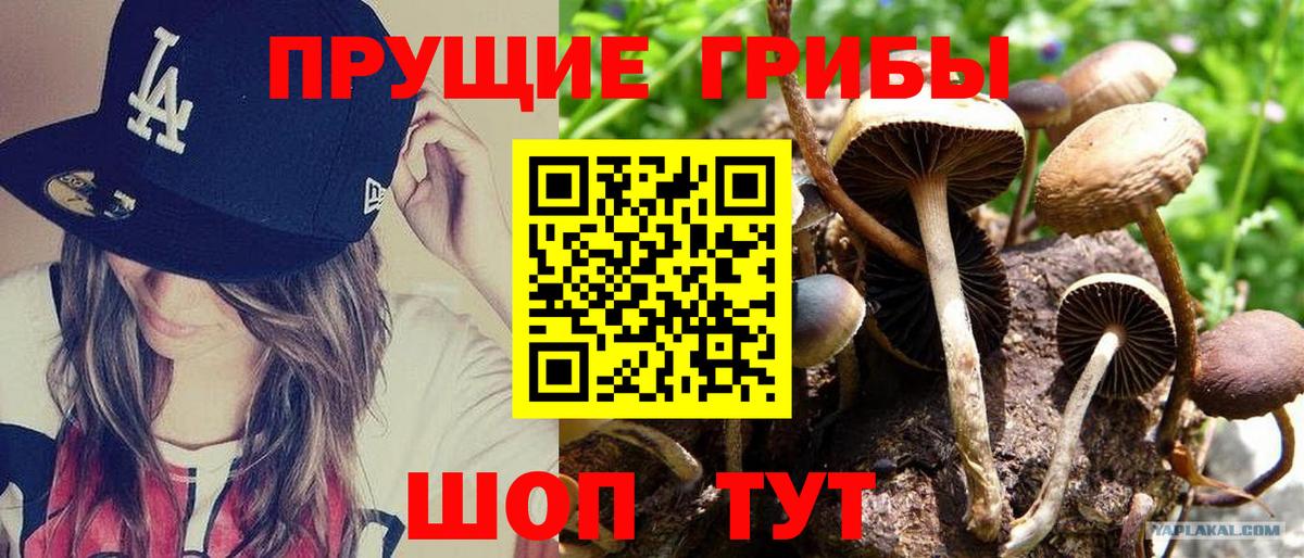 Псилоцибиновые грибы GOLDEN TEACHER  Псилоцибиновые грибы мухоморы  Благовещенск  Вход с VPN 