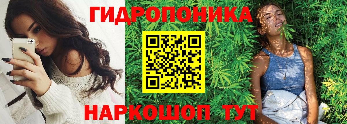 Благовещенск  Марихуана семена  Конопля марихуана  Каннабис сатива  Вход с VPN 